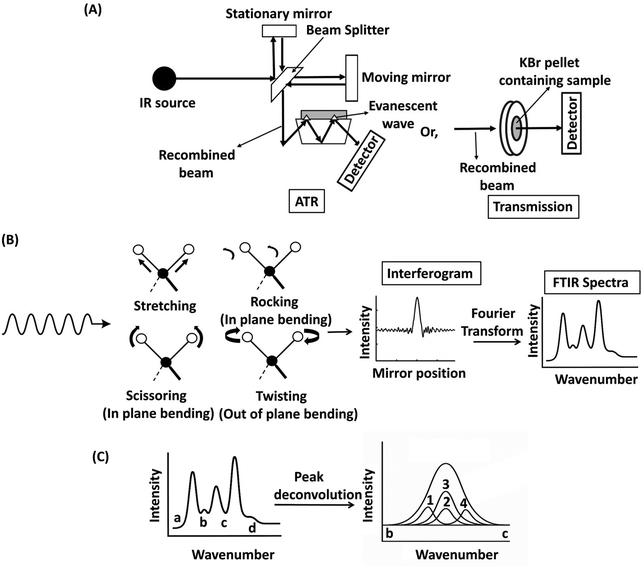 image file: d5lp00329f-f5.tif