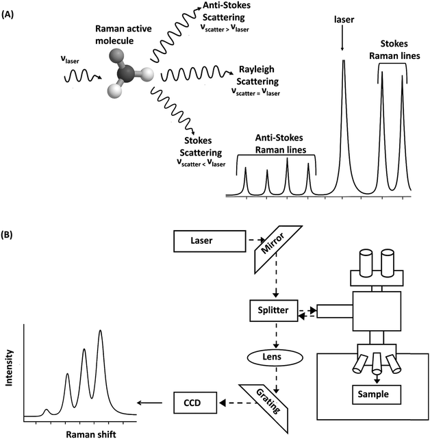 image file: d5lp00329f-f6.tif