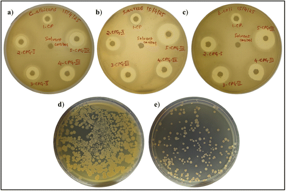 image file: d5lp00339c-f11.tif