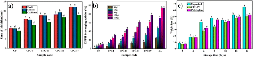 image file: d5lp00339c-f12.tif
