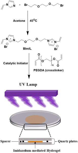 image file: d5lp00361j-s1.tif