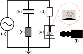 image file: d5lp00365b-f2.tif