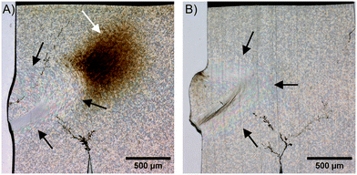 image file: d5lp00365b-f5.tif