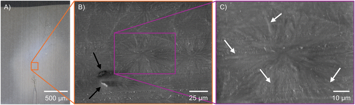 image file: d5lp00365b-f7.tif