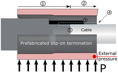 image file: d5lp00369e-f1.tif