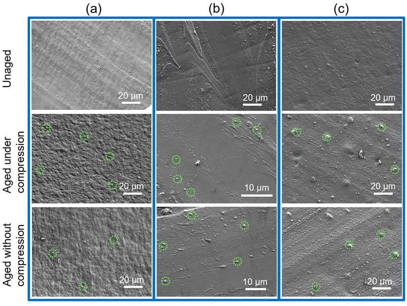 image file: d5lp00369e-f9.tif