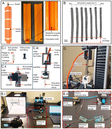 image file: d5lp00370a-f3.tif