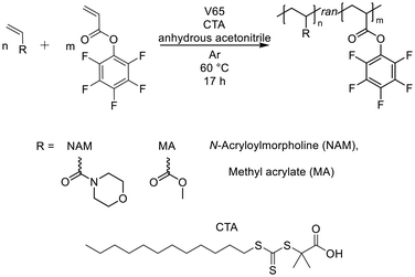 image file: d5lp00376h-s1.tif