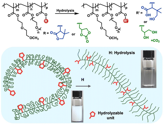 image file: d5lp00379b-f1.tif