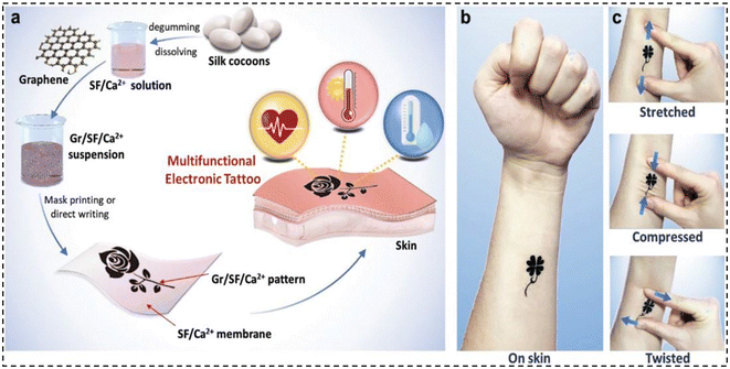 image file: d5lp00385g-f3.tif