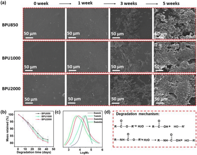 image file: d5lp00385g-f6.tif