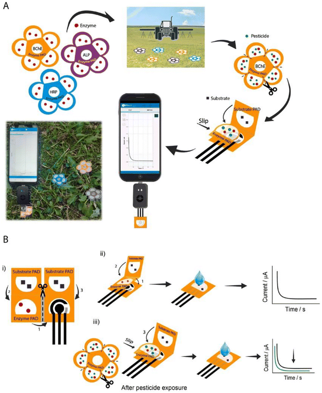 image file: d5lp00385g-f7.tif