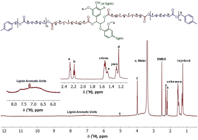 image file: d5lp00387c-f7.tif