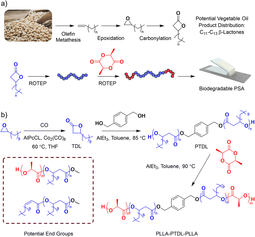 image file: d5lp00389j-s1.tif