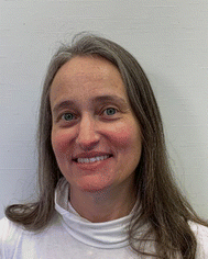 image file: d5lp00408j-p2.tif