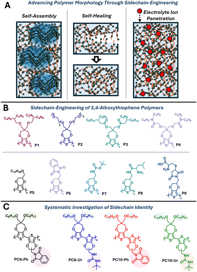 image file: d5lp00413f-f1.tif