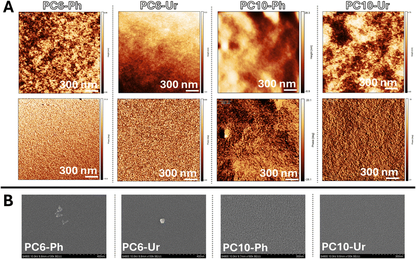 image file: d5lp00413f-f5.tif