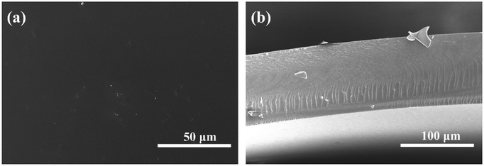 image file: d6lp00002a-f2.tif