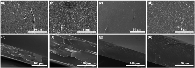 image file: d6lp00002a-f7.tif