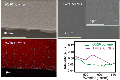 image file: d6lp00007j-f4.tif