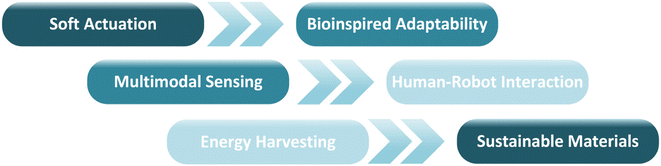 image file: d6lp00014b-f2.tif