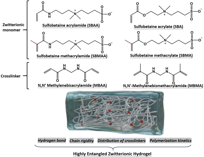 image file: d6lp00019c-s1.tif