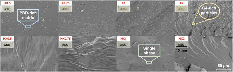 image file: d6lp00028b-f2.tif