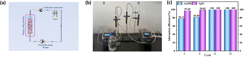 image file: d6lp00040a-f7.tif