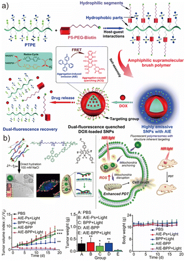 image file: d6lp00044d-f10.tif