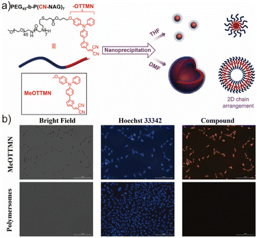 image file: d6lp00044d-f11.tif