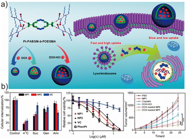 image file: d6lp00044d-f12.tif