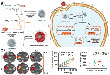 image file: d6lp00044d-f13.tif