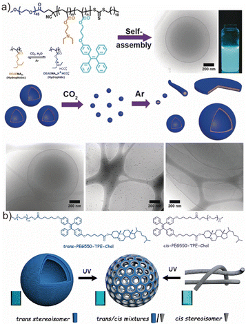 image file: d6lp00044d-f4.tif