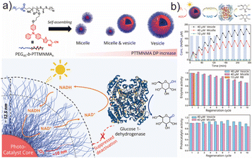 image file: d6lp00044d-f5.tif