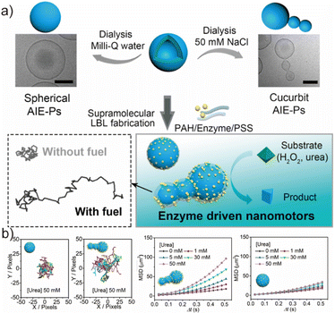 image file: d6lp00044d-f6.tif