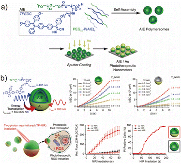 image file: d6lp00044d-f7.tif