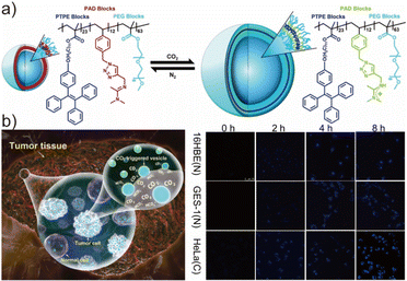image file: d6lp00044d-f8.tif