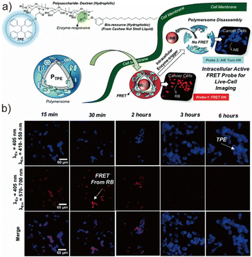 image file: d6lp00044d-f9.tif