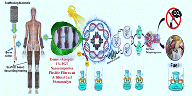 image file: d4ma01103a-s1.tif