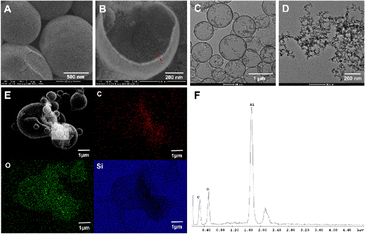 image file: d5ma00509d-f4.tif