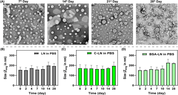 image file: d5ma00526d-f4.tif