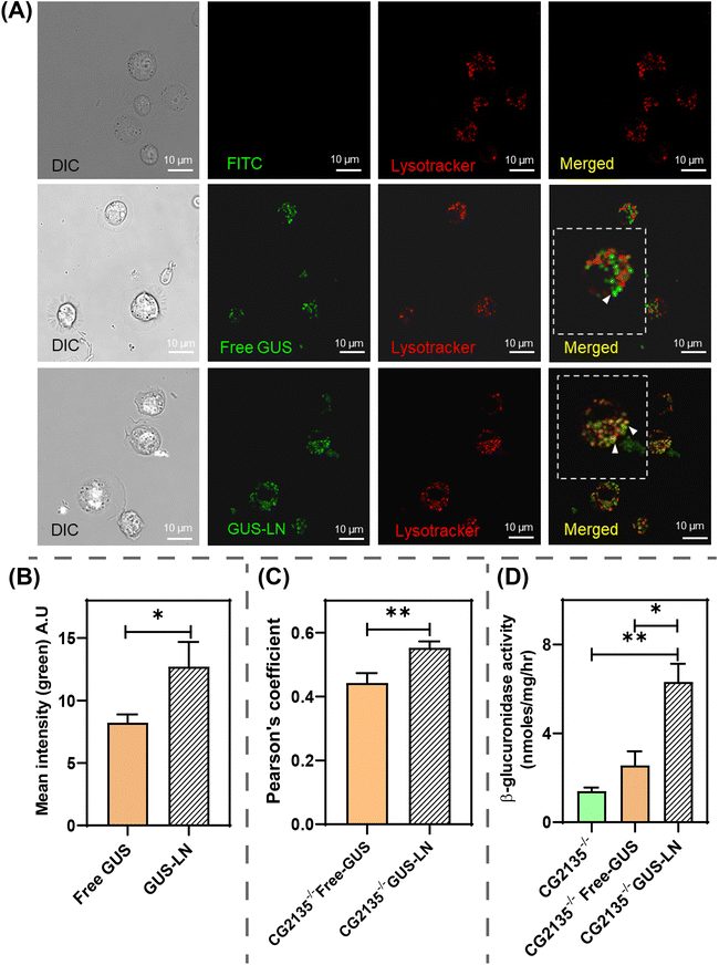 image file: d5ma00526d-f7.tif