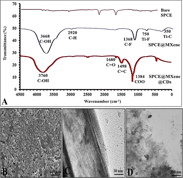 image file: d5ma00539f-f4.tif