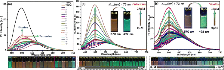 image file: d5ma00546a-f5.tif