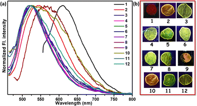 image file: d5ma00546a-f6.tif