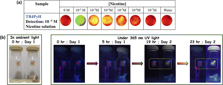 image file: d5ma00546a-f9.tif