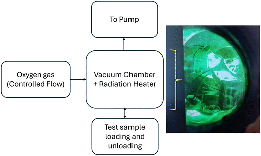 image file: d5ma00591d-f1.tif