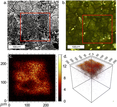 image file: d5ma00603a-f2.tif