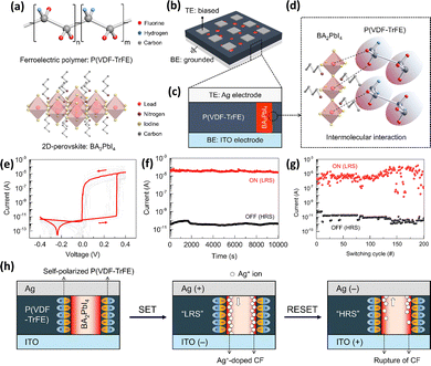 image file: d5ma00686d-f4.tif