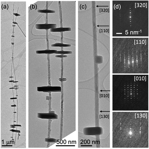 image file: d5ma00694e-f2.tif